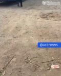 file_2709