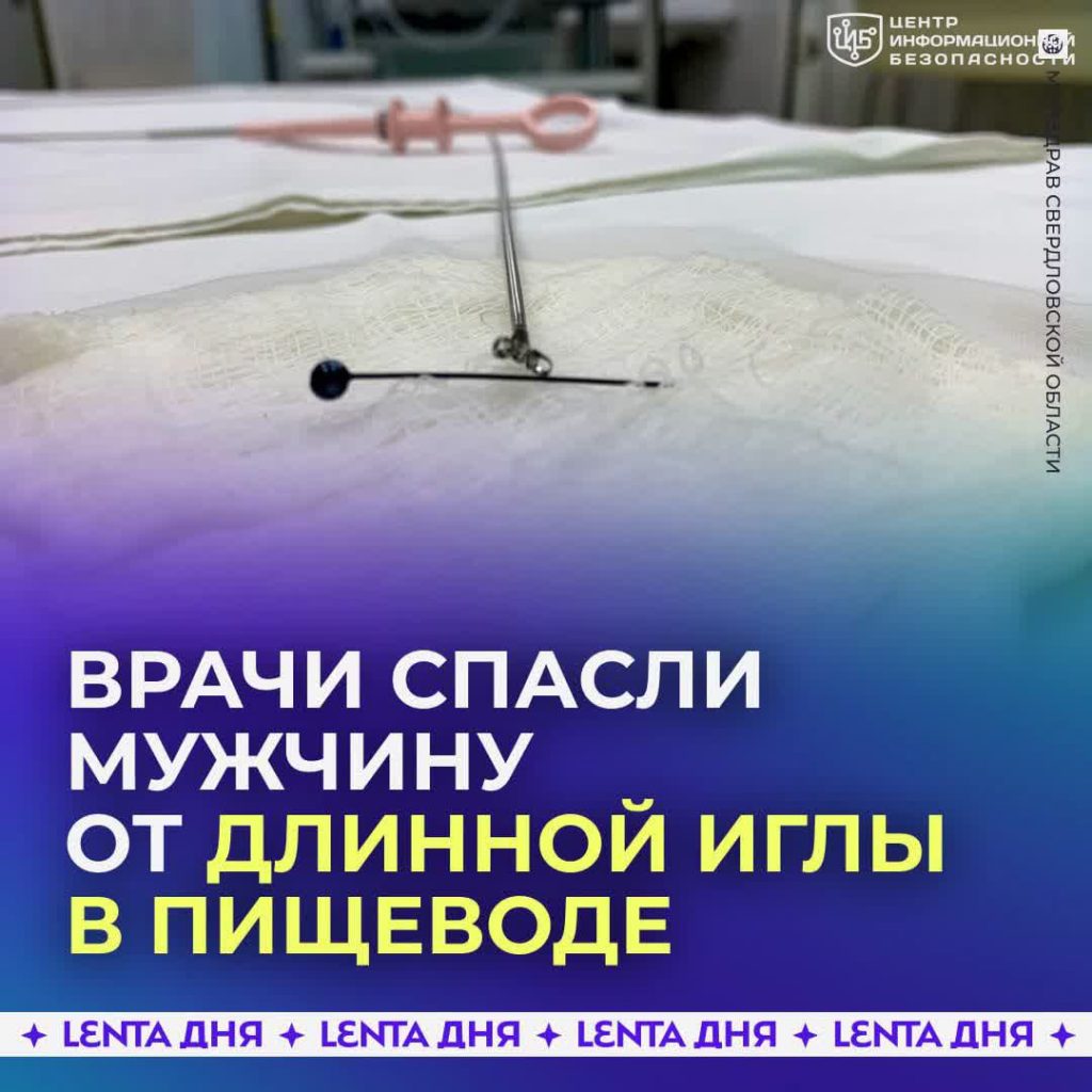 file_2804
