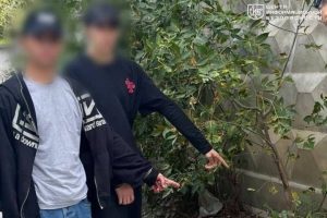 file_2811