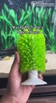 file_2844