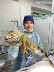 file_2859