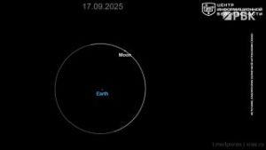 file_2893