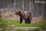 file_2894