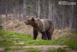 file_2894