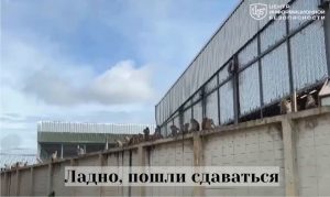 file_2913