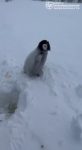file_2917