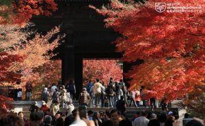 file_2918