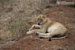 file_2926