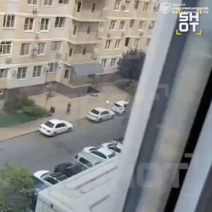 file_2933
