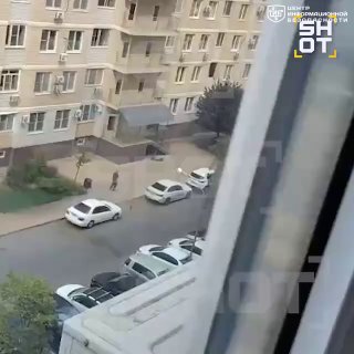 file_2933