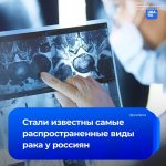 file_2946