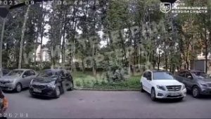 file_2951