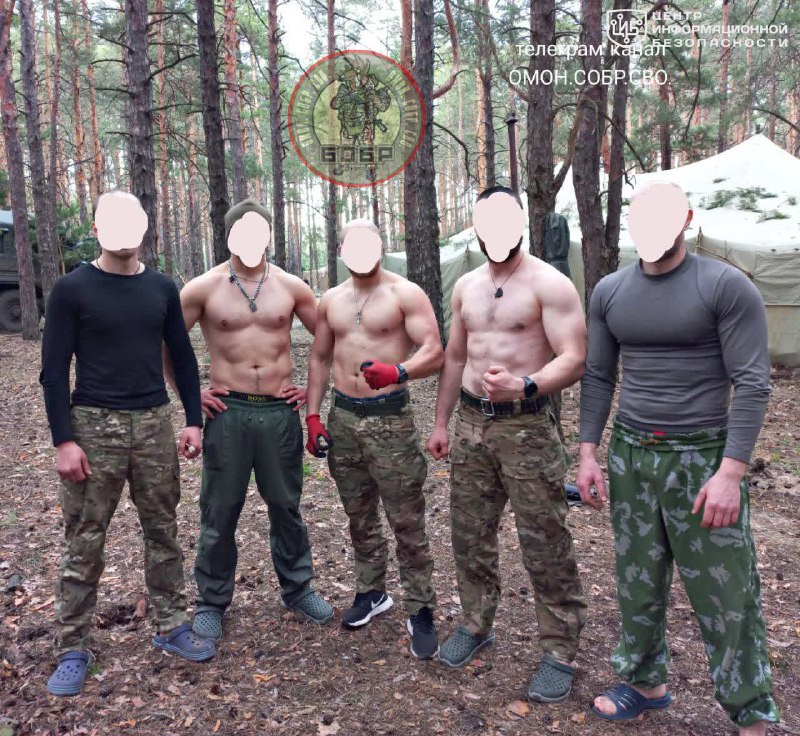 file_2981