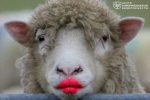 file_3013