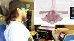 file_1229