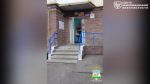 file_1246