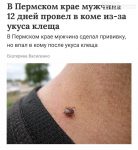 file_985