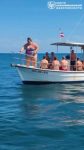 file_1293