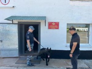 file_1373