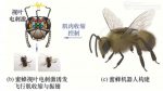file_1514