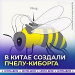 file_1541