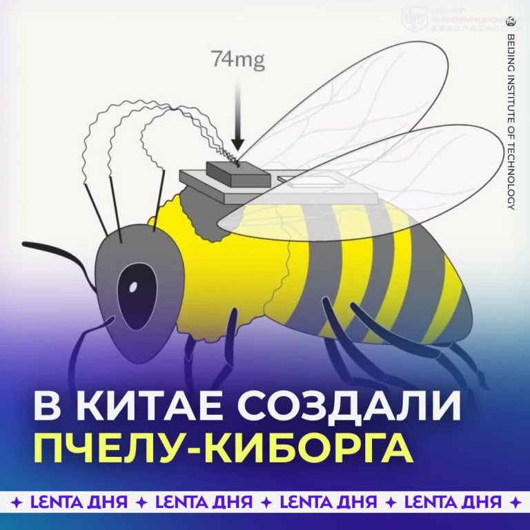 file_1541