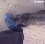 file_1557