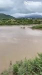 file_1566