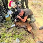 file_1717