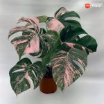 file_1745