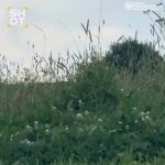 file_2052