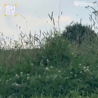 file_2052