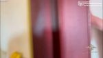 file_2081