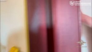 file_2081
