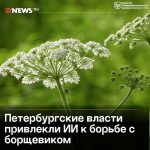 file_2221