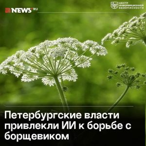 file_2221