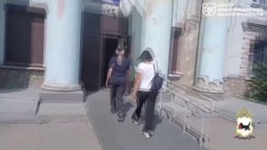 file_2264
