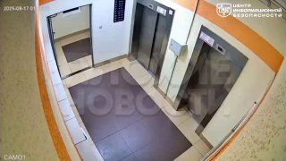 file_2415