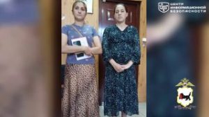 file_2425