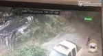 file_2450
