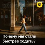 file_2477