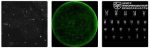 file_2480