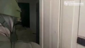 file_2501