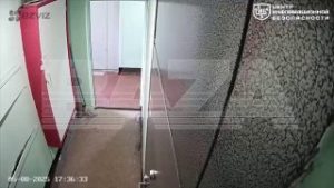 file_2508