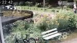file_2595