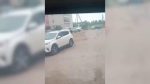 file_2599